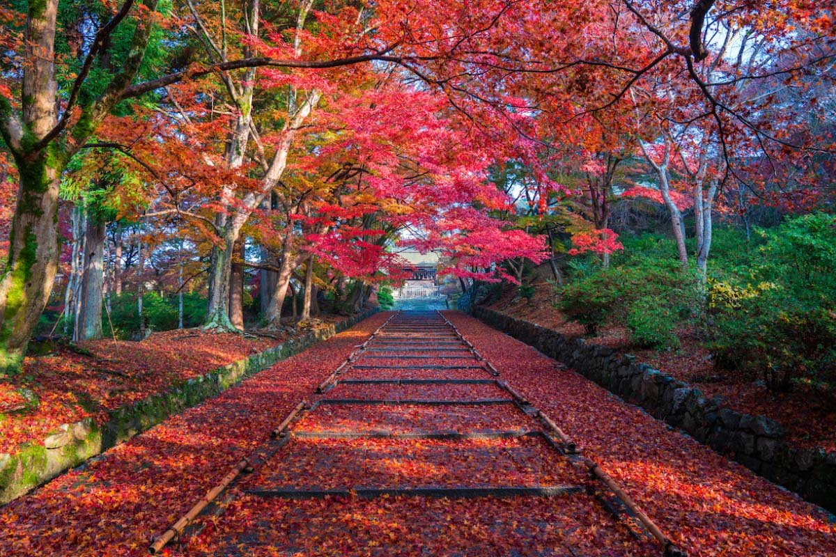 🏯 비사문당 문적(비샤몬도 몬제키)